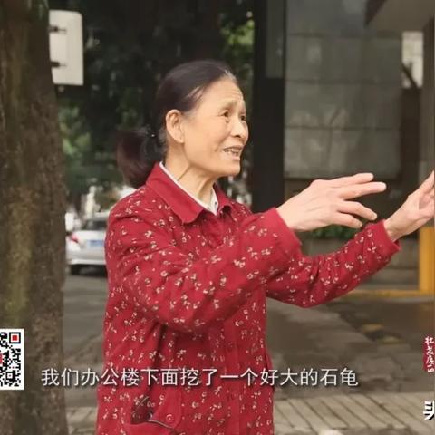 南宁石龟苗价格最新走势分析