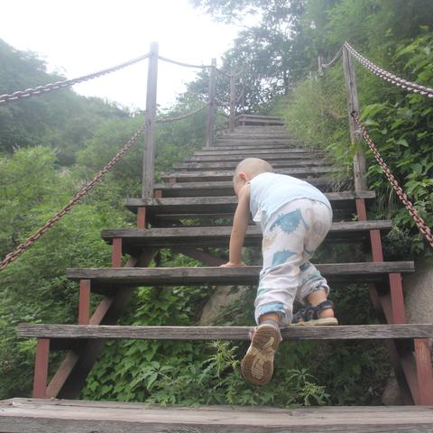 高远时光城最新进展更新