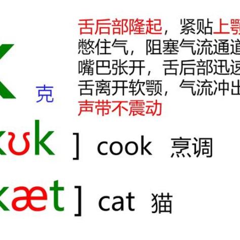 最新小学音标教学视频,助力学生英语发音准确性提升