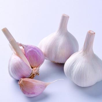 大蒜价格行情最新分析