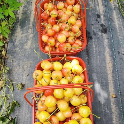 诸城最新地图详细解析