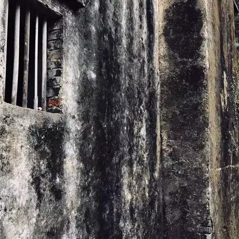 英德碧桂园最新售价解析