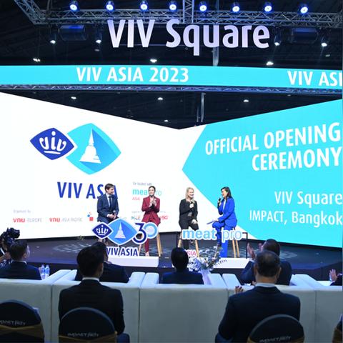 最新网络歌曲流行趋势与数据洞察，风格多样，值得一听