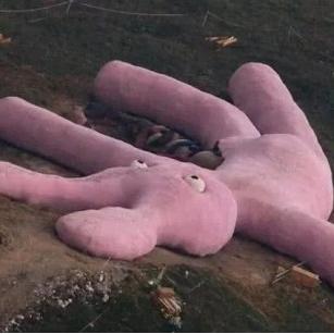 2025热门夹兔子视频,数据与趋势深度解析