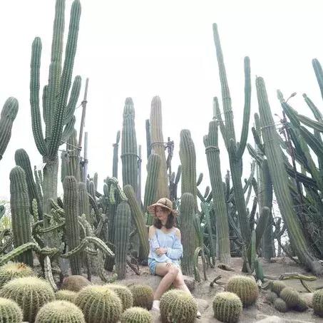 三游记下载攻略与独家体验分享