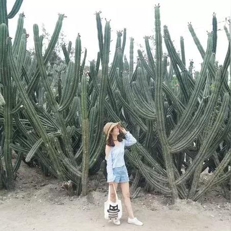 三游记下载攻略与独家体验分享