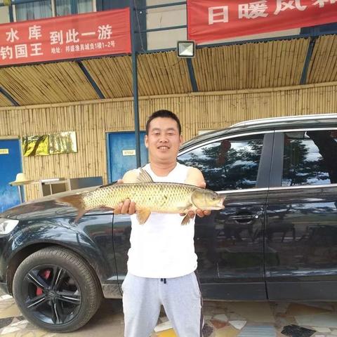 昆明野钓好去处推荐指南