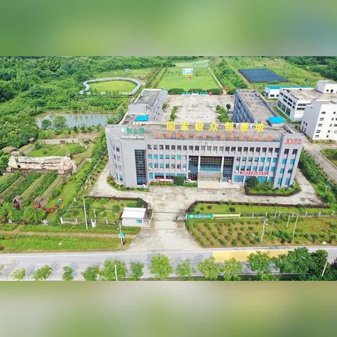 草花平台下载最新指南攻略