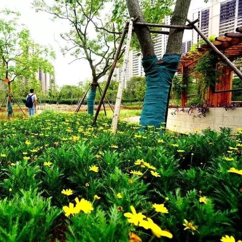 草花平台下载最新指南攻略