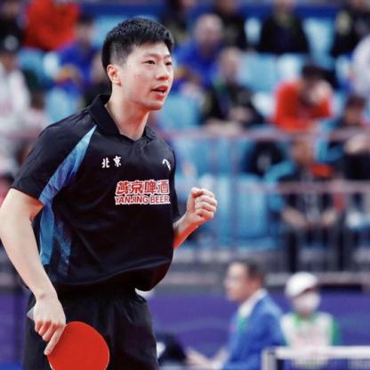 陕西淘汰鸡价格走势分析