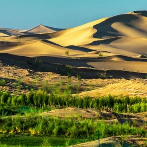 全球经济最新动态深度解读