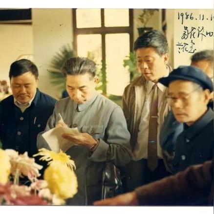 荆棘花园最新章节，迷失与重逢的旋律交响