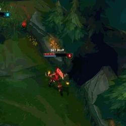 荆棘花园最新章节,迷失与重逢的旋律交响