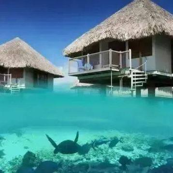 深圳限行地图最新详解指南