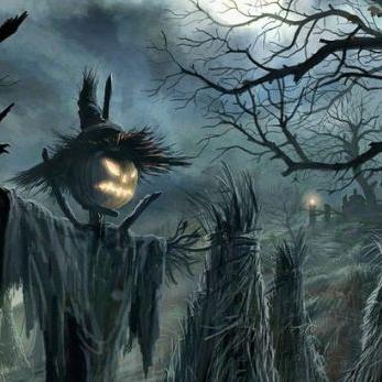 迷雾重重的真相探寻,借阴寿最新章节揭秘