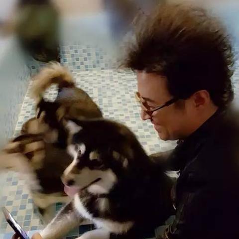 哈尔滨途观最新报价及购车手册