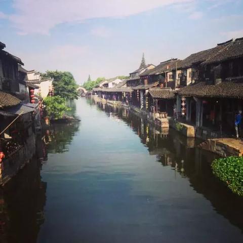 嘉善小城春秋最新信息概览