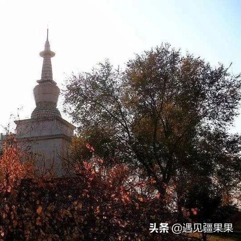 乌鲁木齐煤矿招工信息大解析