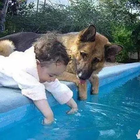 全能闲人，都市风云传奇人生最新章节