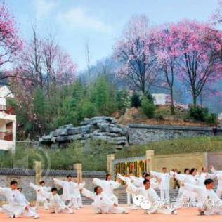 滨江长寿谷最新资讯更新