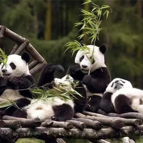 白莲池街道最新动态速递