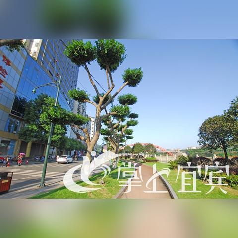 宜宾锦绣龙城最新进展更新