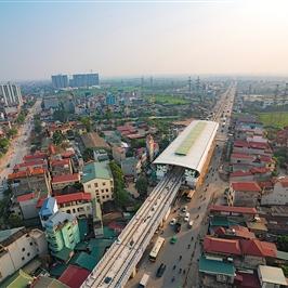 最新港口芝麻行情解析