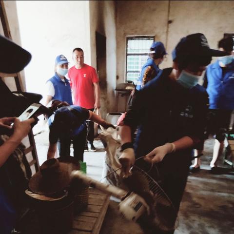 湛江国旅最新报价,探索美丽湛江之旅