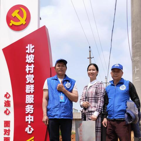 湛江国旅最新报价,探索美丽湛江之旅