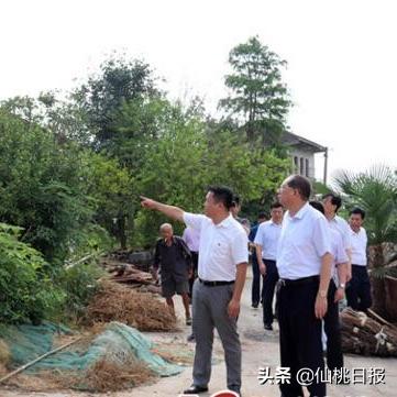 仙桃纱帽村规划新动态