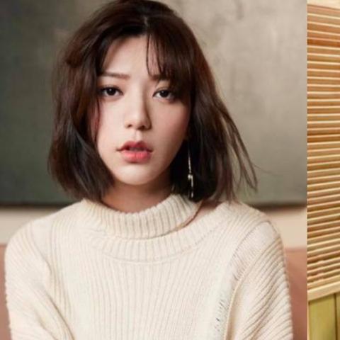 郭雪芙短发新风尚,潮流标杆亮相