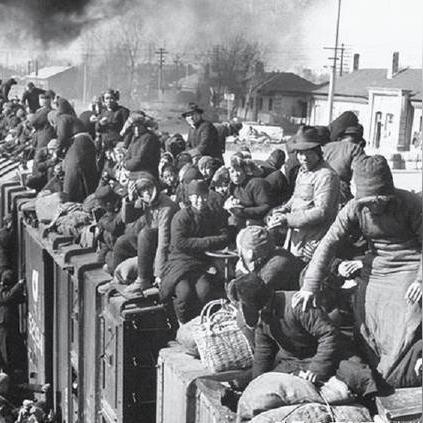 豺狼末日新作揭秘，未来生存挑战与应对策略