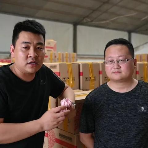 中牟干蒜行情最新价格分析