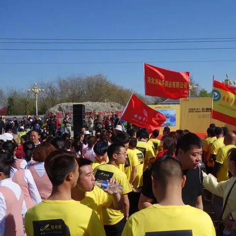 安国盛大花园最新进展报道