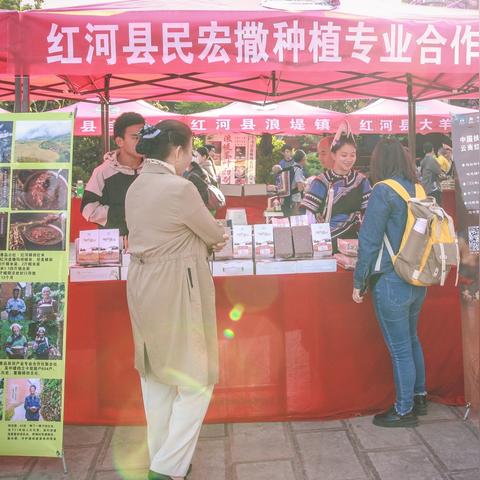 公司农户合作新模式，农业现代化新篇章开启