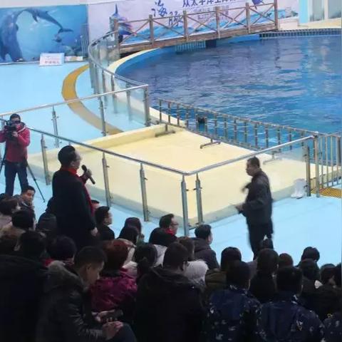 最新庙会游戏项目亮相,万人共赏热闹非凡