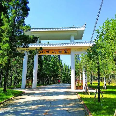 代理记账 第206页