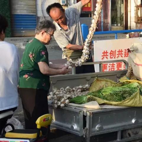 聊城西瓜,最新价值深度解析