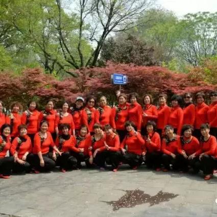 华美舞动广场舞,全民舞蹈热潮引领者