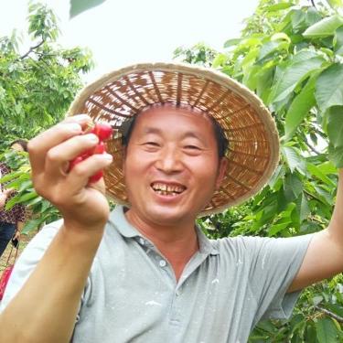 樱桃直播下载地址及介绍