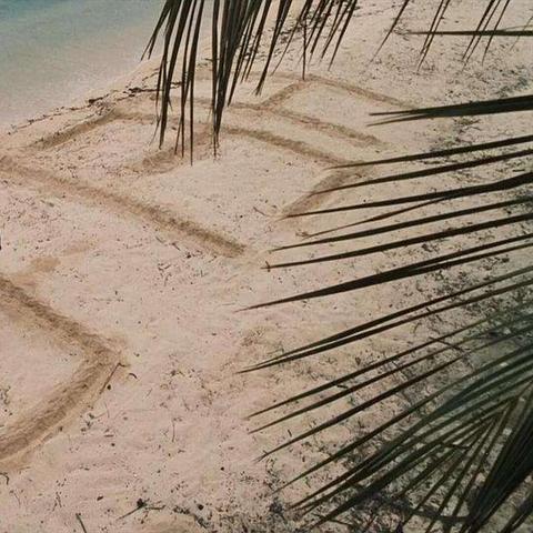 网易最新游戏探索未知世界的冒险之旅首曝