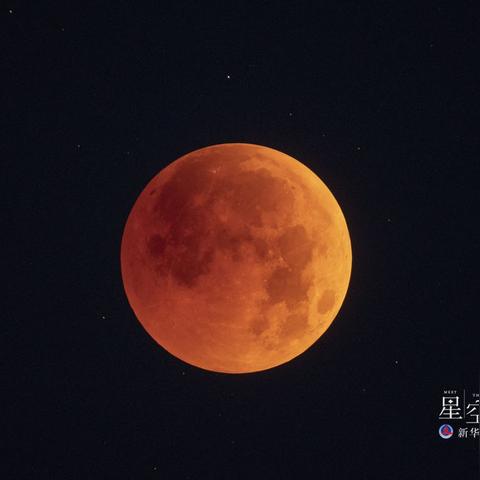 代理记账 第203页