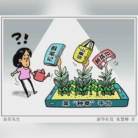 素人摄影探索,城市角落的未知之美