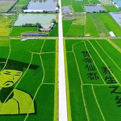 韶关乐昌大源公路最新进展,建设亮点与未来展望