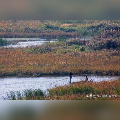 泰安泉林社区最新资讯