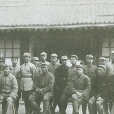 无尽边界最新阵容深度解读