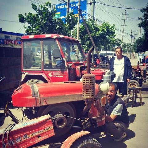 衡水小麦价格行情最新分析