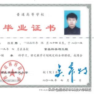 最新科技词汇解析,探索前沿科技的无限魅力