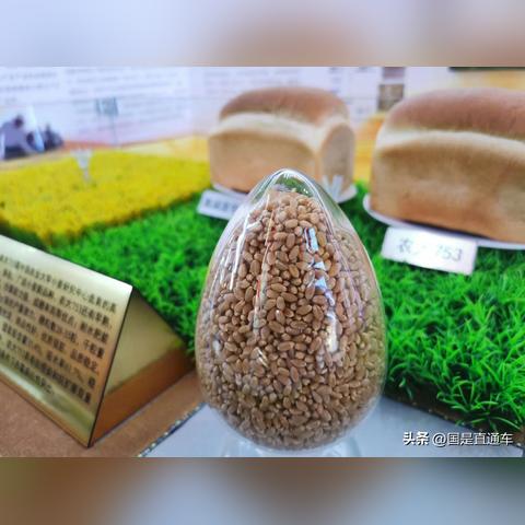 最新科技词汇解析，探索前沿科技的无限魅力