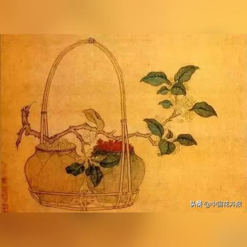 桂金贵门诊时间全解析及介绍